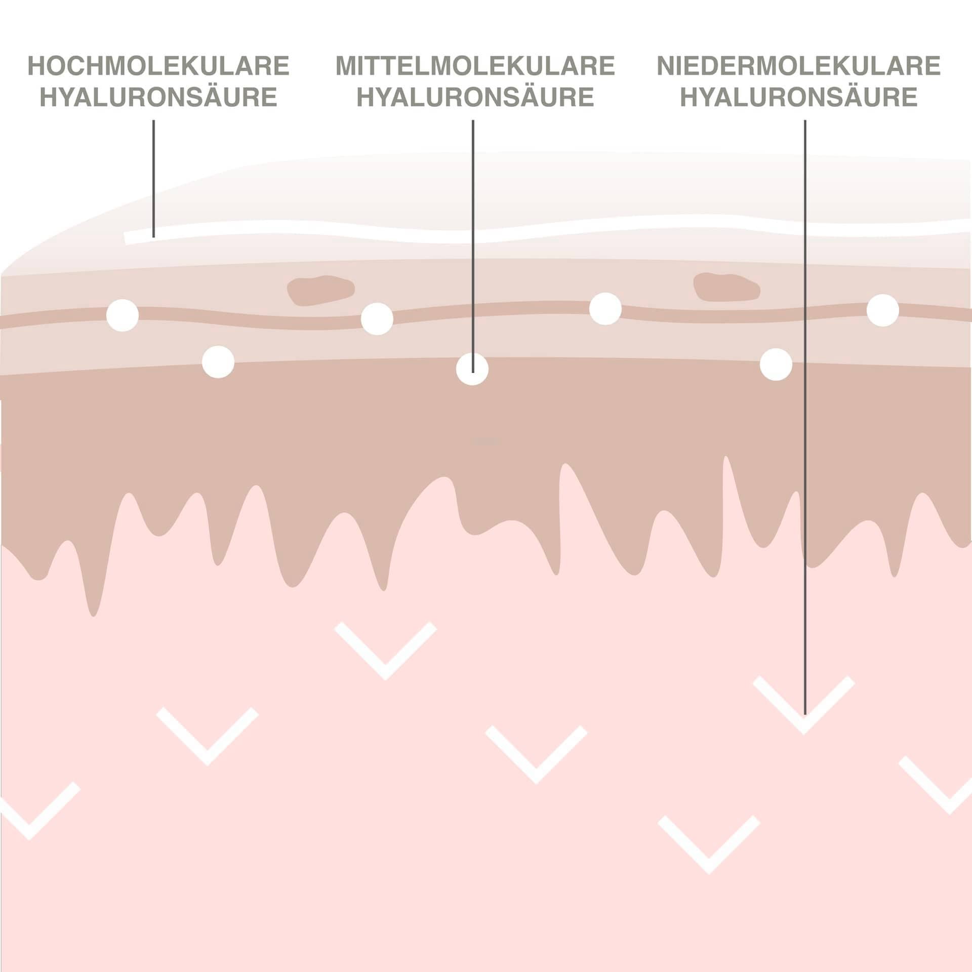 Intense Hyaluron Serum Intense Hyaluron Serum