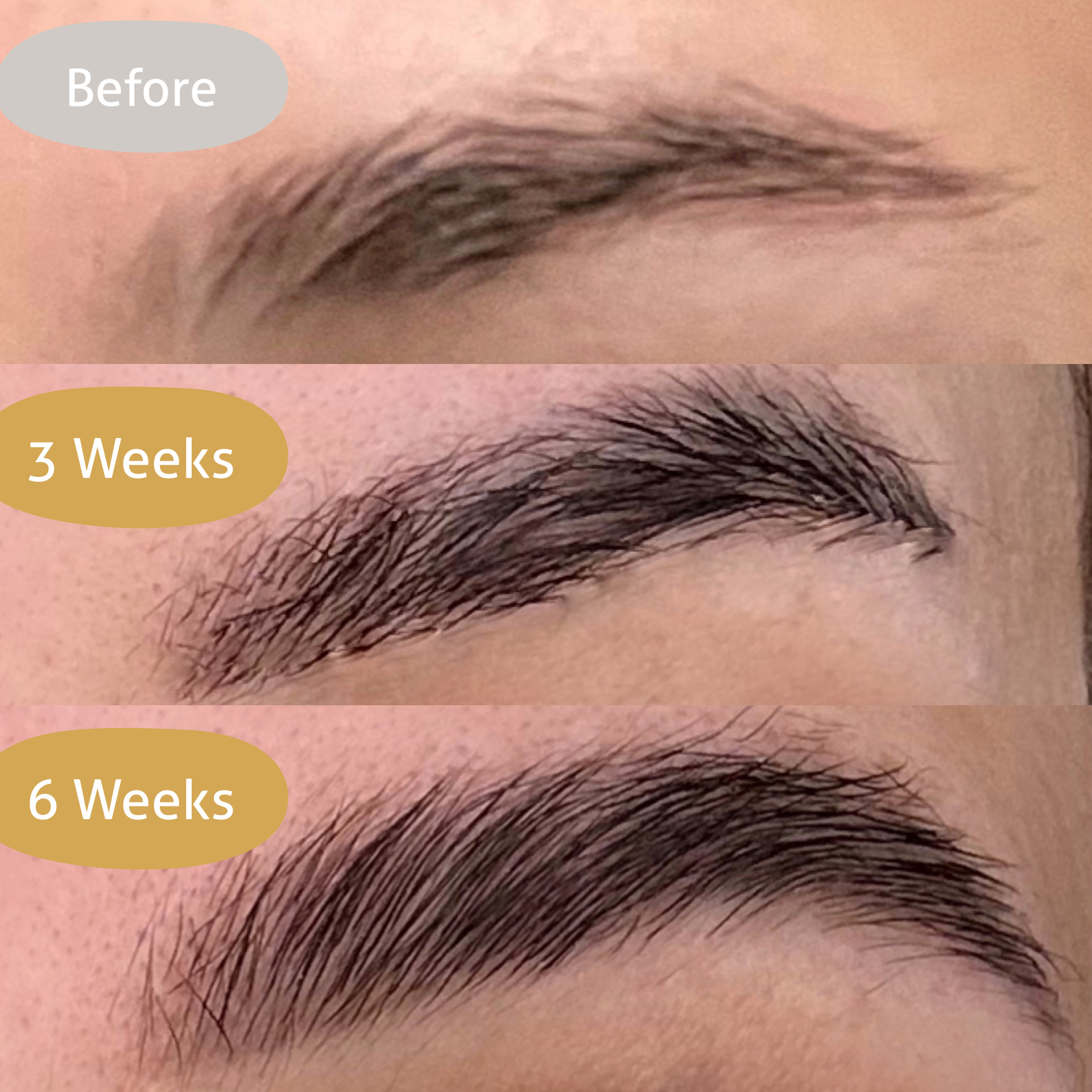 Big Bushy Brows Big Bushy Brows